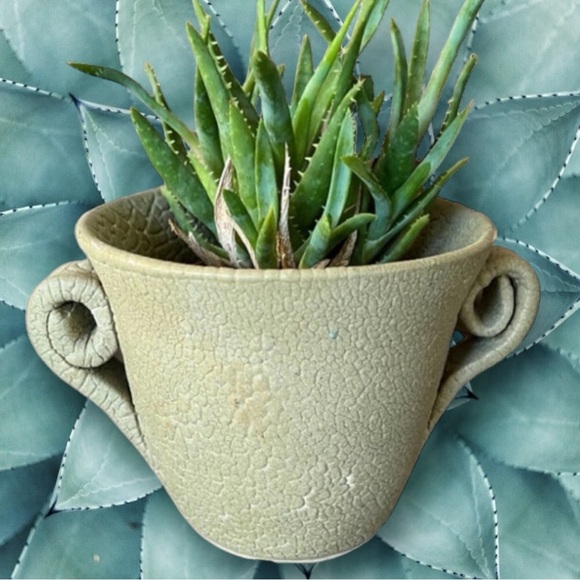 Succulent or Cactus Planter in Olive Green with a Distressed Crackle Finish - Picture 1 of 11